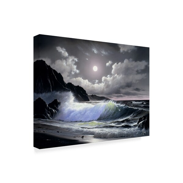 Anthony Casay 'Dark Coast Line 2' Canvas Art,24x32